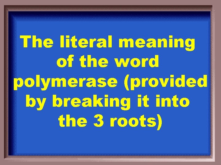 The literal meaning of the word polymerase (provided by breaking it into the 3