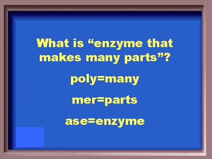 What is “enzyme that makes many parts”? poly=many mer=parts ase=enzyme 