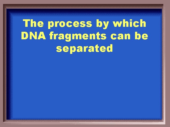 The process by which DNA fragments can be separated 