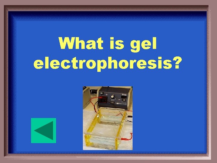 What is gel electrophoresis? 