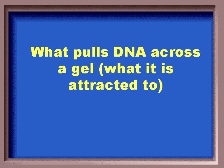 What pulls DNA across a gel (what it is attracted to) 