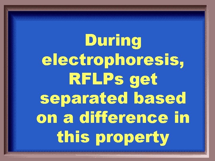 During electrophoresis, RFLPs get separated based on a difference in this property 