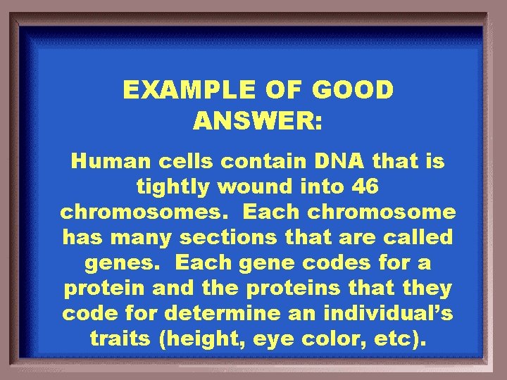 EXAMPLE OF GOOD ANSWER: Human cells contain DNA that is tightly wound into 46