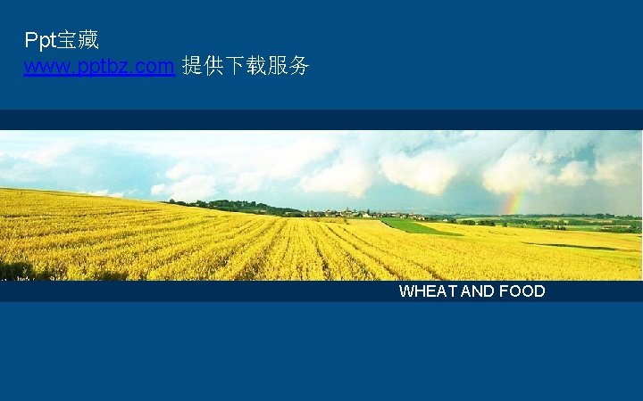 Ppt宝藏 www. pptbz. com 提供下载服务 WHEAT AND FOOD 