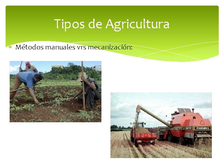 Tipos de Agricultura Métodos manuales vrs mecanización: 