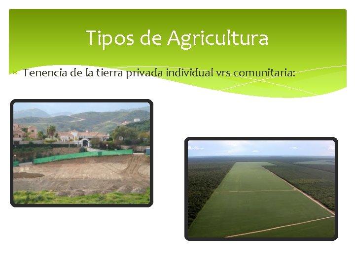 Tipos de Agricultura Tenencia de la tierra privada individual vrs comunitaria: 