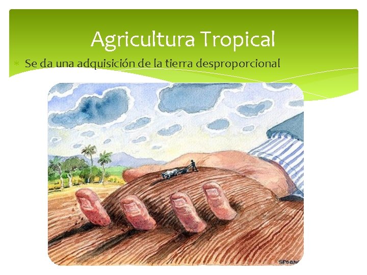 Agricultura Tropical Se da una adquisición de la tierra desproporcional 