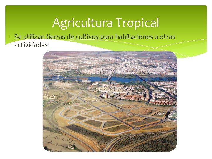 Agricultura Tropical Se utilizan tierras de cultivos para habitaciones u otras actividades 