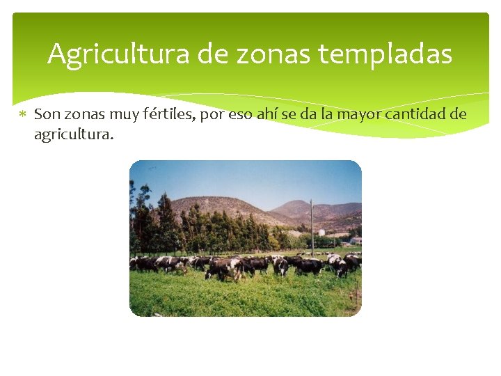 Agricultura de zonas templadas Son zonas muy fértiles, por eso ahí se da la