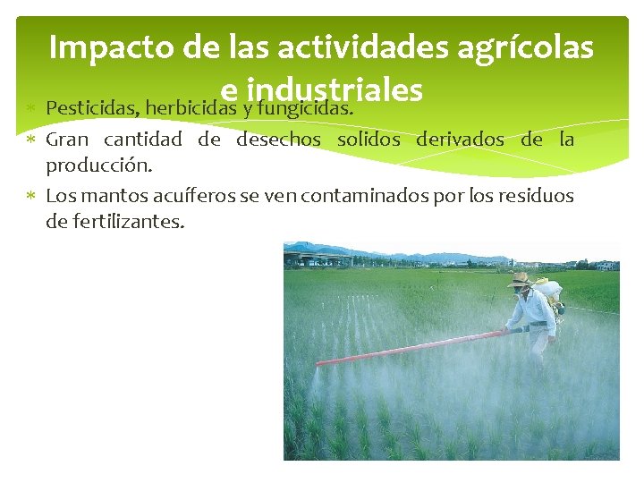 Impacto de las actividades agrícolas e industriales Pesticidas, herbicidas y fungicidas. Gran cantidad de