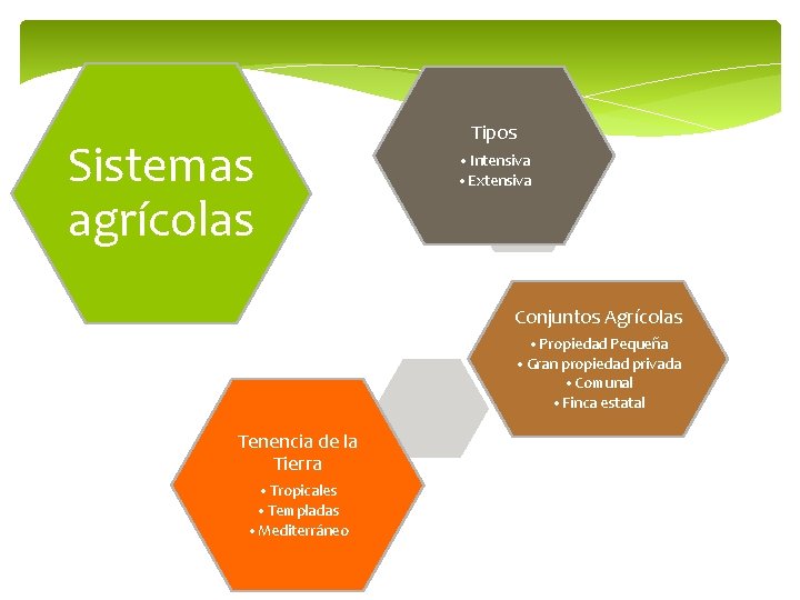 Sistemas agrícolas Tipos • Intensiva • Extensiva Conjuntos Agrícolas • Propiedad Pequeña • Gran