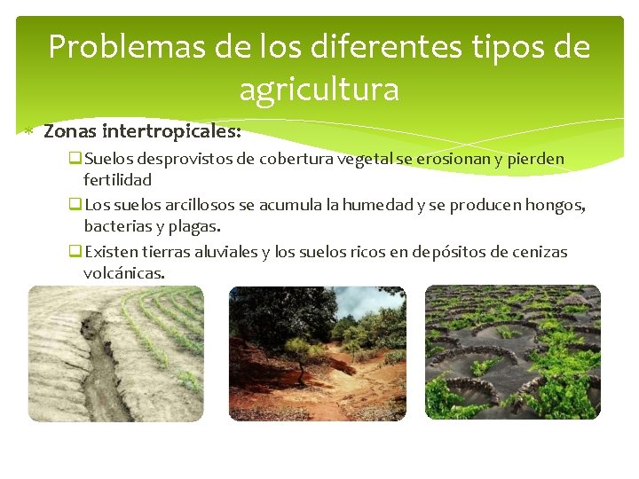 Problemas de los diferentes tipos de agricultura Zonas intertropicales: q. Suelos desprovistos de cobertura
