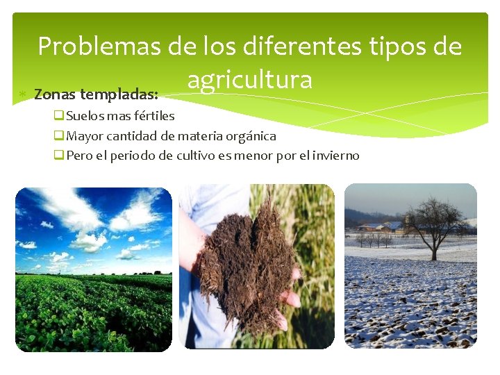 Problemas de los diferentes tipos de agricultura Zonas templadas: q. Suelos mas fértiles q.