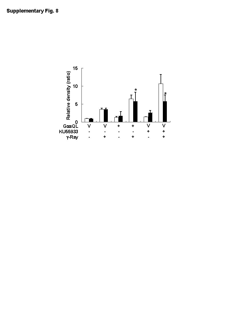 Supplementary Fig. 8 Relative density (ratio) 15 10 * * 5 0 Gas. QL