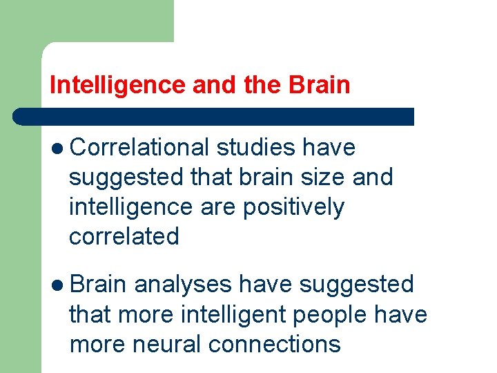 Intelligence and the Brain l Correlational studies have suggested that brain size and intelligence