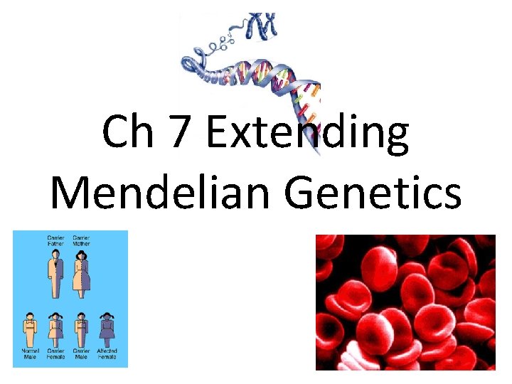 Ch 7 Extending Mendelian Genetics 