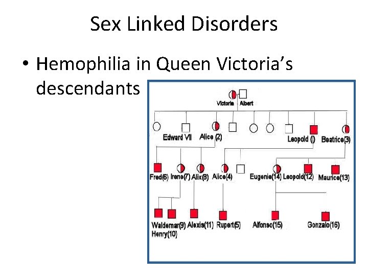 Sex Linked Disorders • Hemophilia in Queen Victoria’s descendants 