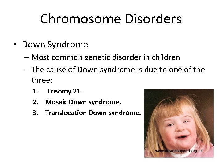 Chromosome Disorders • Down Syndrome – Most common genetic disorder in children – The
