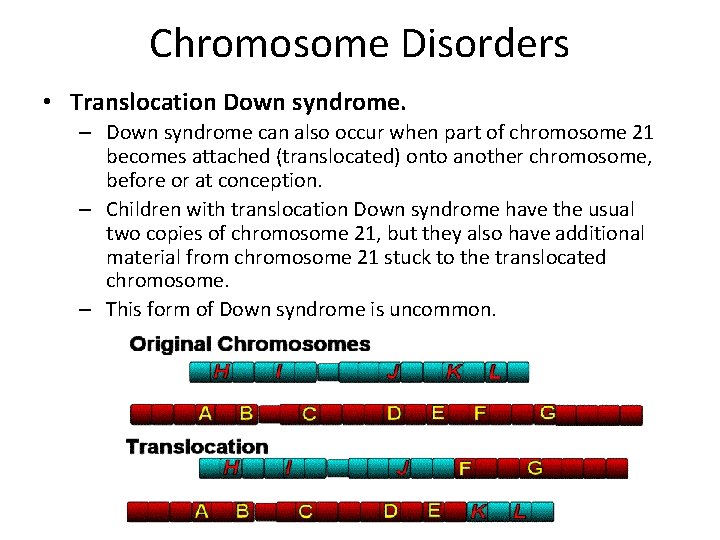 Chromosome Disorders • Translocation Down syndrome. – Down syndrome can also occur when part