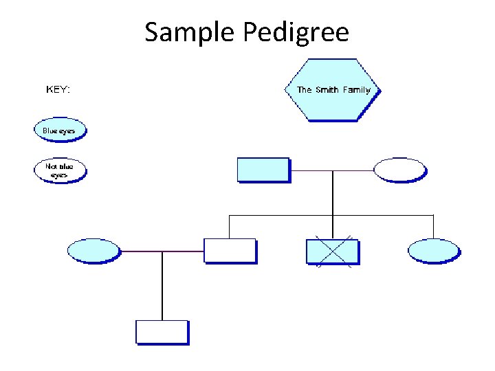 Sample Pedigree 