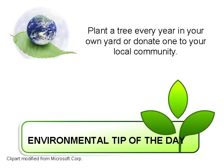 Plant a tree every year in your own yard or donate one to your