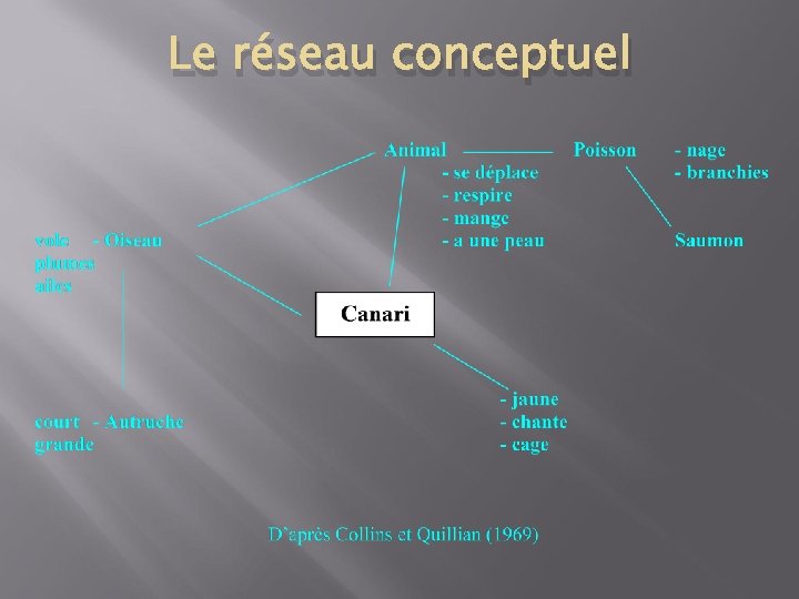 Le réseau conceptuel 