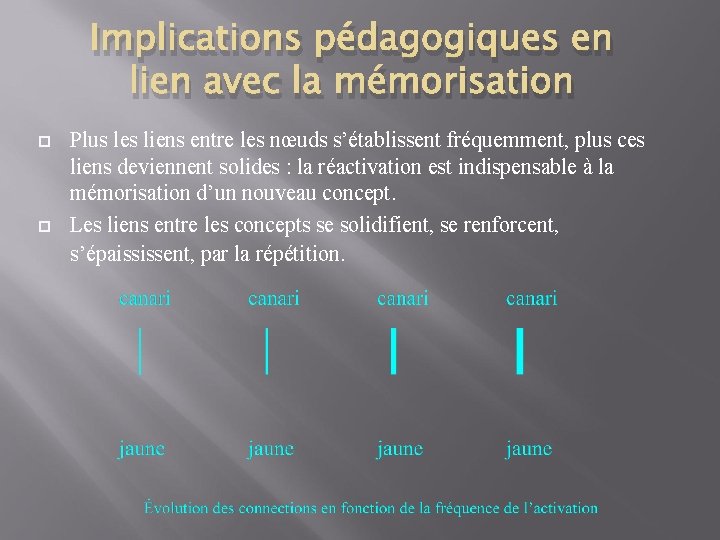 Implications pédagogiques en lien avec la mémorisation Plus les liens entre les nœuds s’établissent