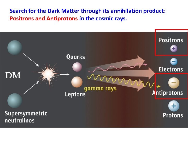 Search for the Dark Matter through its annihilation product: Positrons and Antiprotons in the