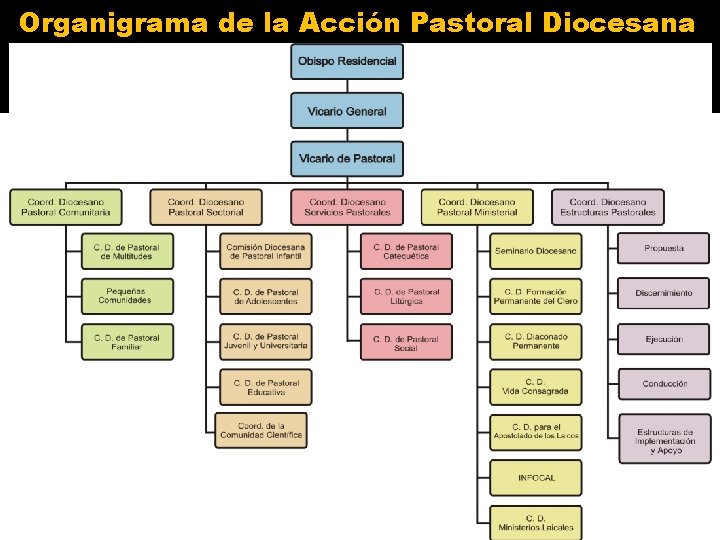 Organigrama de la Acción Pastoral Diocesana 