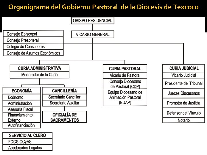 Organigrama del Gobierno Pastoral de la Diócesis de Texcoco 