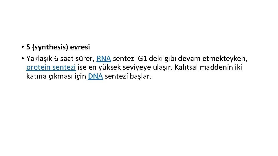  • S (synthesis) evresi • Yaklaşık 6 saat sürer, RNA sentezi G 1