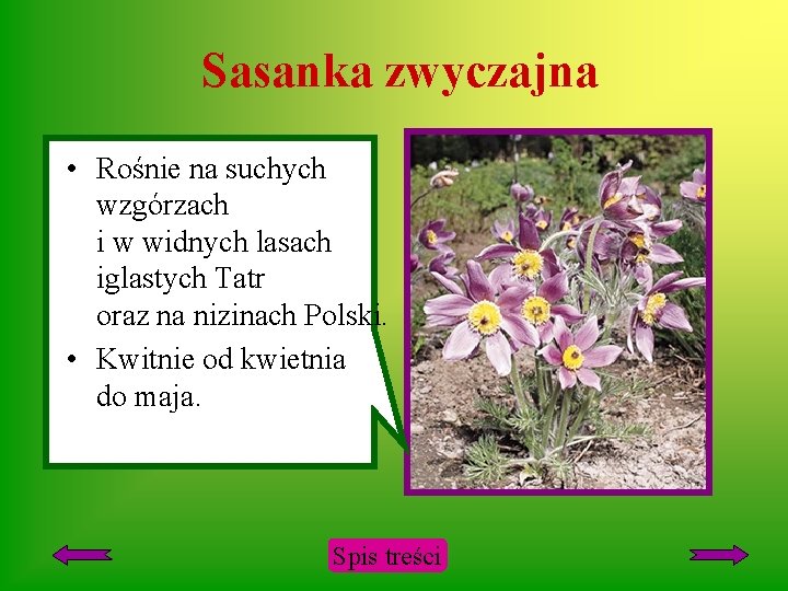ROLINY I ZWIERZTA CHRONIONE W POLSCE Autor Grayna