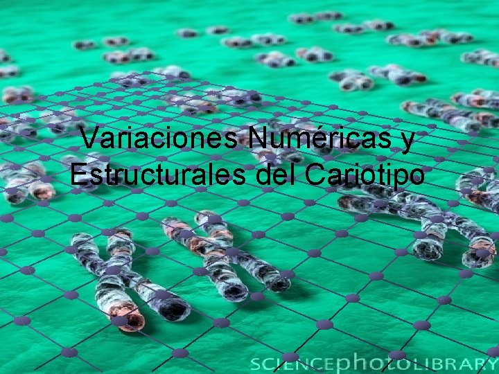 Variaciones Numéricas y Estructurales del Cariotipo 