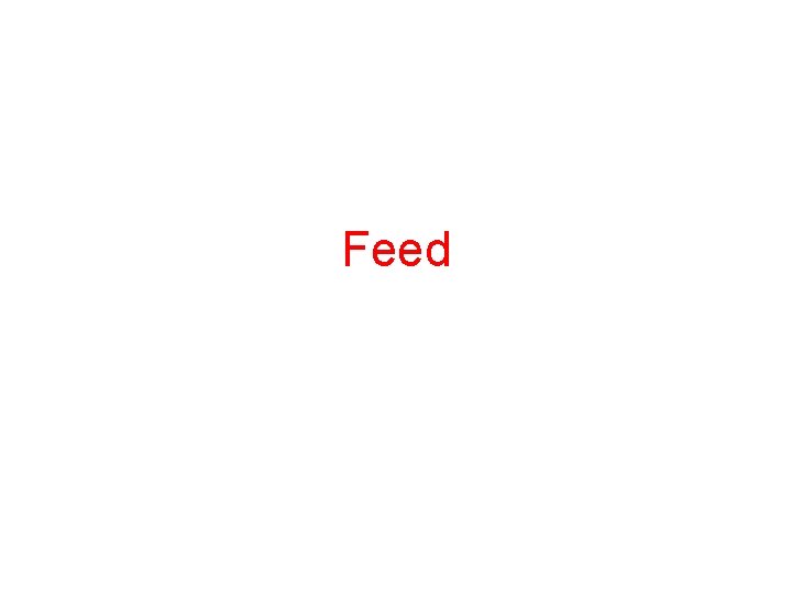 Feed 