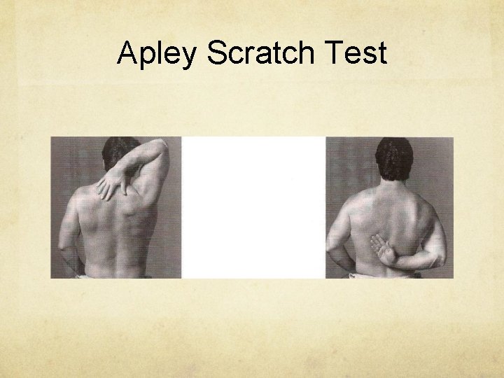 Apley Scratch Test 