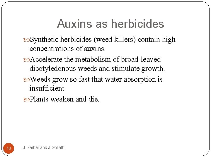 Auxins as herbicides Synthetic herbicides (weed killers) contain high concentrations of auxins. Accelerate the