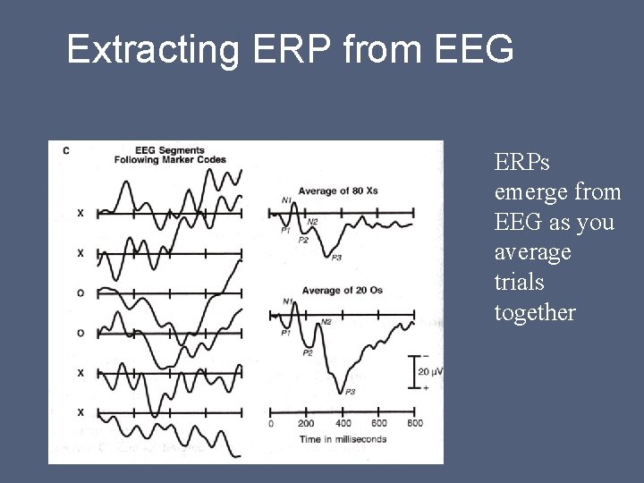 Extracting ERP from EEG ERPs emerge from EEG as you average trials together 