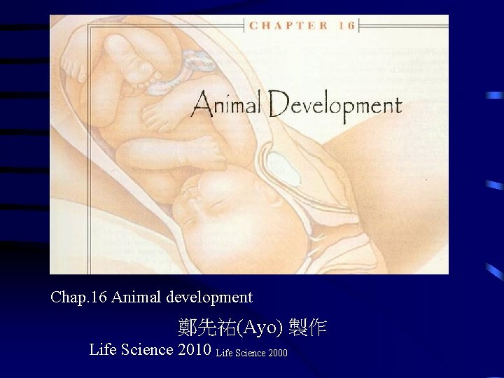 Chap. 16 Animal development 鄭先祐(Ayo) 製作 Life Science 2010 Life Science 2000 