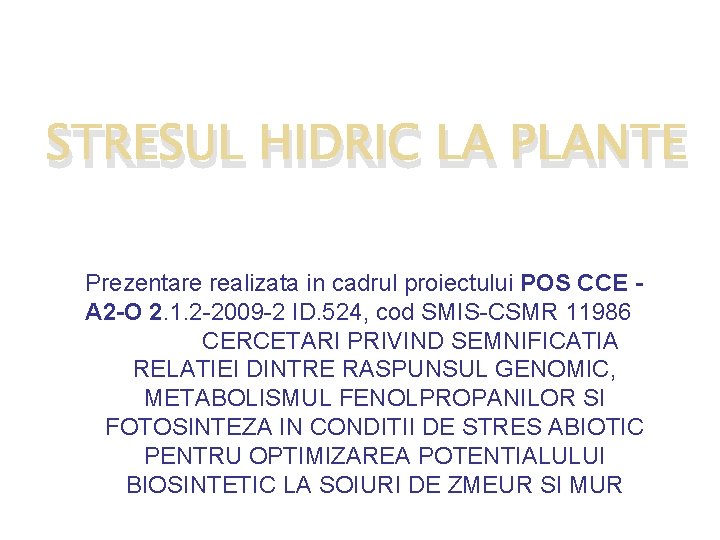 STRESUL HIDRIC LA PLANTE Prezentare realizata in cadrul proiectului POS CCE A 2 -O