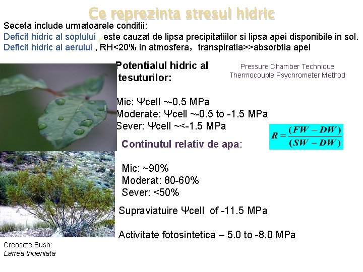 Ce reprezinta stresul hidric Seceta include urmatoarele conditii: Deficit hidric al soplului , este