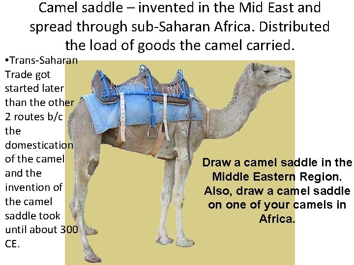 Camel saddle – invented in the Mid East and spread through sub-Saharan Africa. Distributed