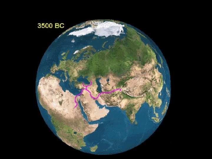 In Eurasia, trade intensified as cities grew. 