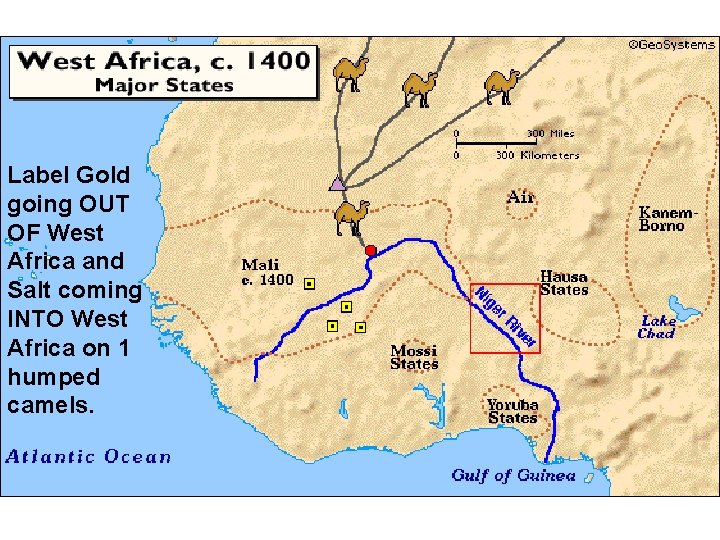 Label Gold going OUT OF West Africa and Salt coming INTO West Africa on