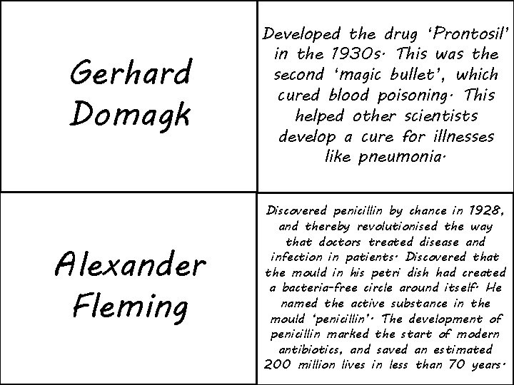 Gerhard Domagk Developed the drug ‘Prontosil’ in the 1930 s. This was the second