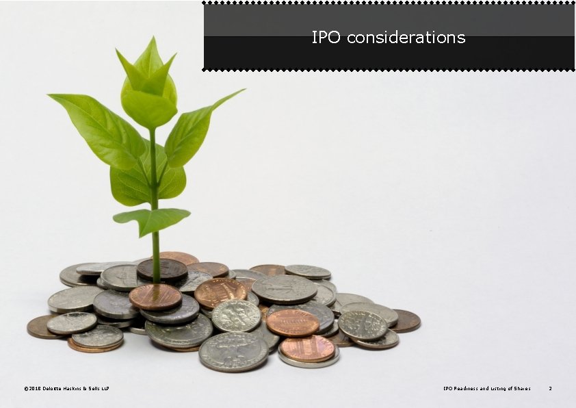 IPO considerations © 2018 Deloitte Haskins & Sells LLP IPO Readiness and Listing of