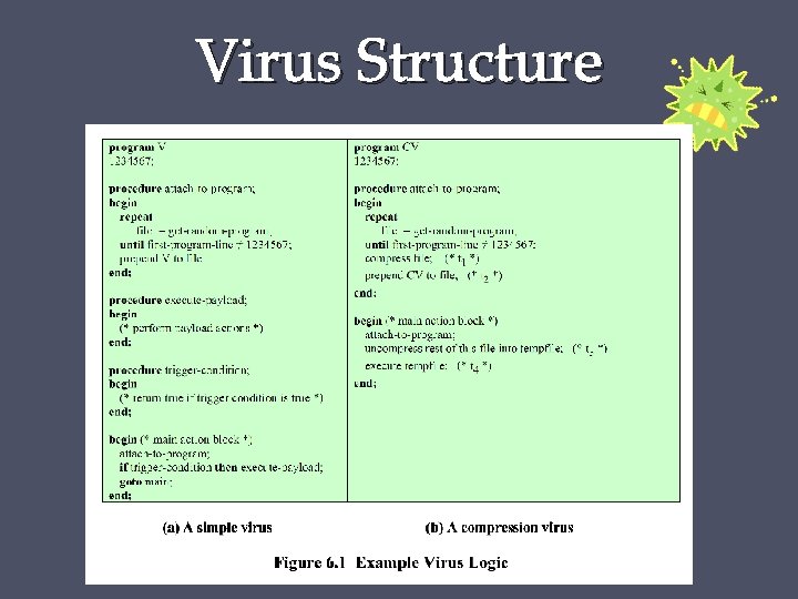 Virus Structure 