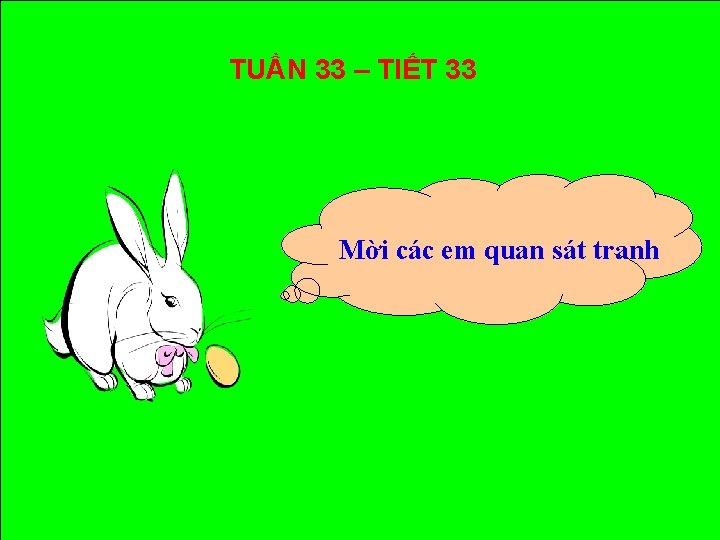 TUẦN 33 – TIẾT 33 Mời các em quan sát tranh 