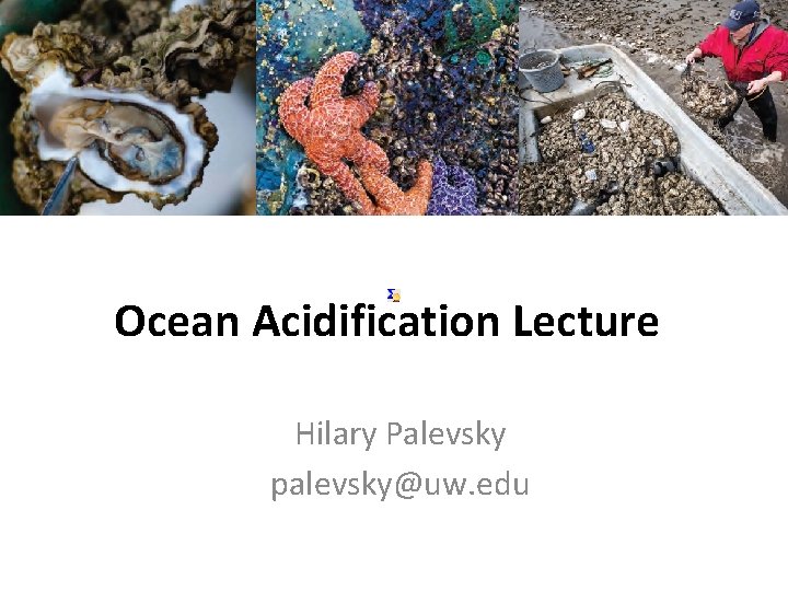 Ocean Acidification Lecture Hilary Palevsky palevsky@uw. edu 