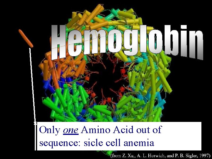 Only one Amino Acid out of sequence: sicle cell anemia 