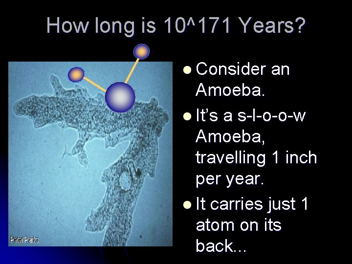How long is 10^171 Years? l Consider an Amoeba. l It’s a s-l-o-o-w Amoeba,